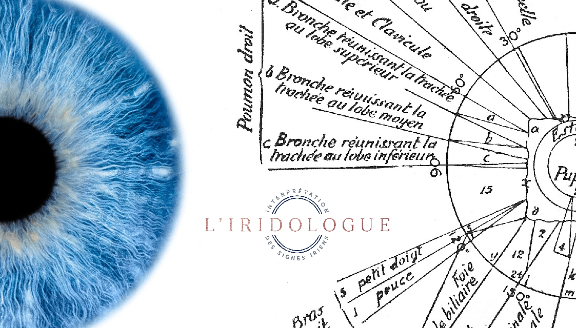 Formation Iridologie Montréal